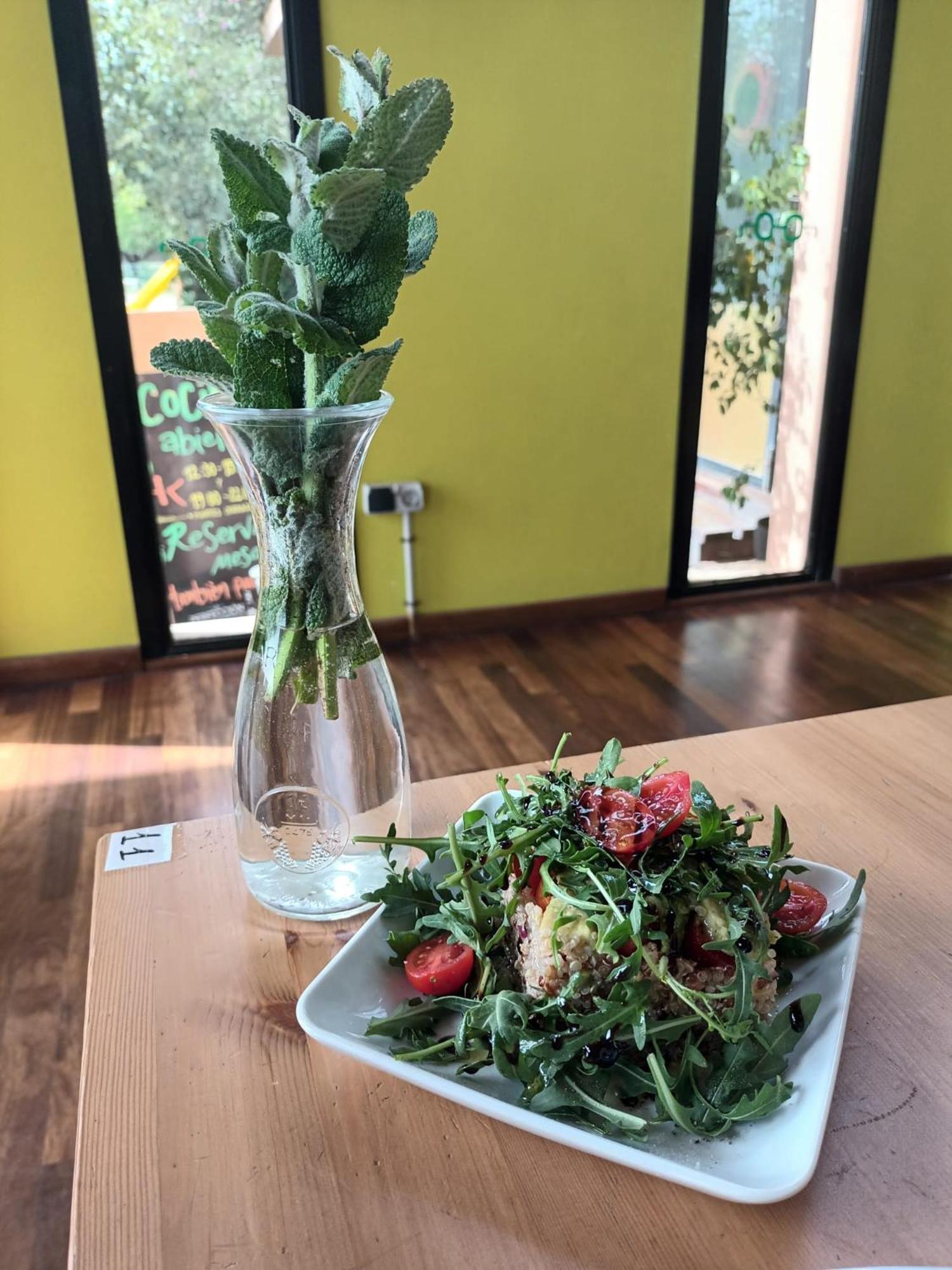 Ecologic Vinyols Camp Hotel Vinyols i Els Arcs Ngoại thất bức ảnh