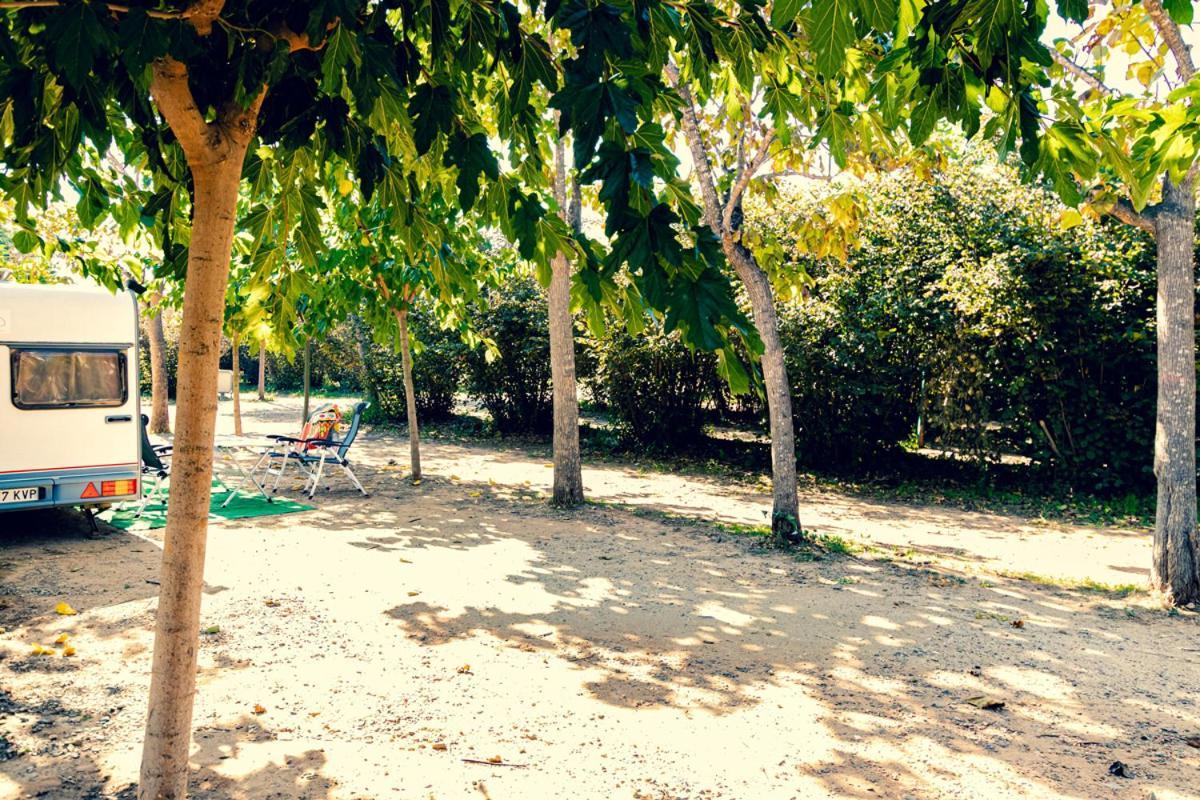 Ecologic Vinyols Camp Hotel Vinyols i Els Arcs Ngoại thất bức ảnh